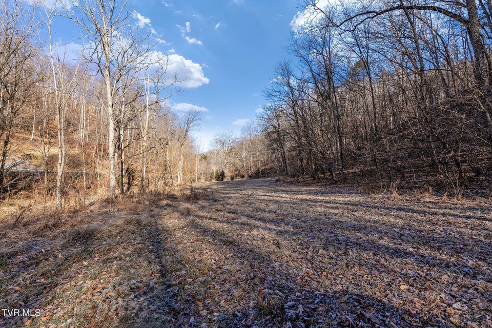 Photo #21: Tbd Cripple Creek Road