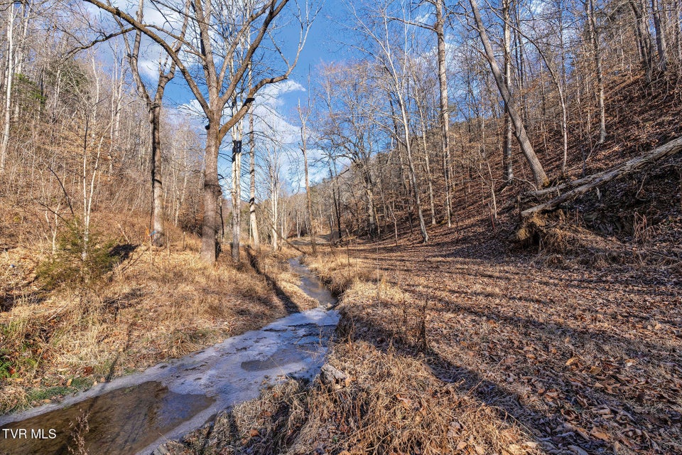 Photo #22: Tbd Cripple Creek Road