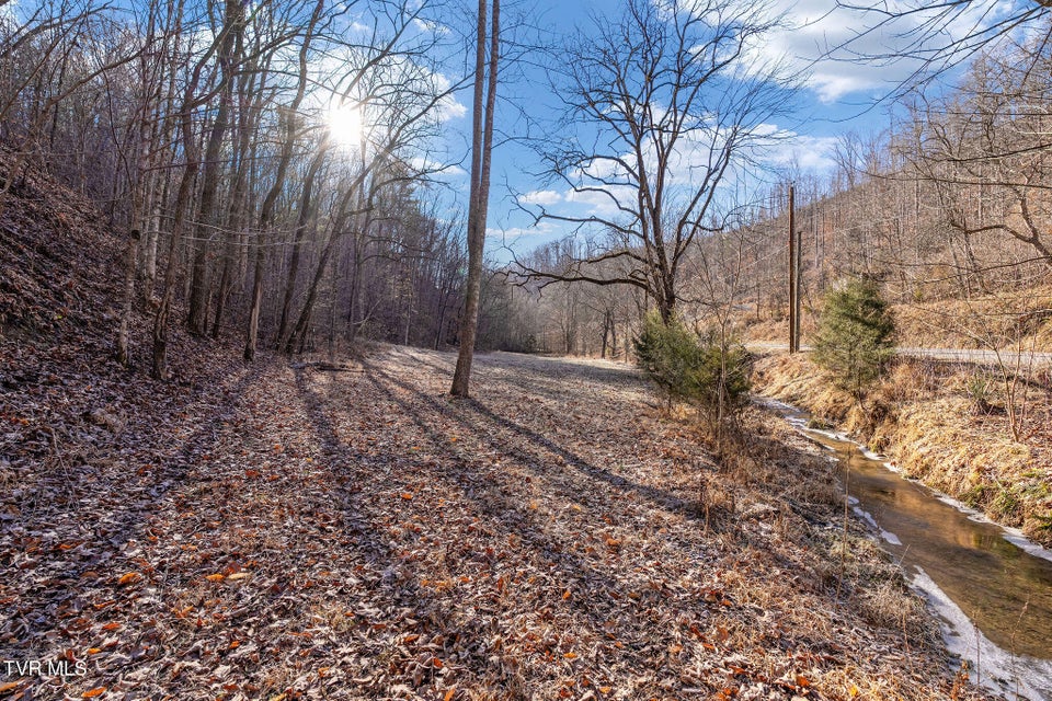 Photo #23: Tbd Cripple Creek Road