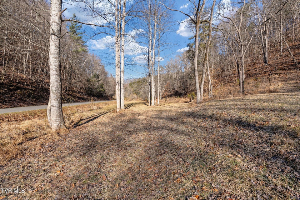 Photo #24: Tbd Cripple Creek Road