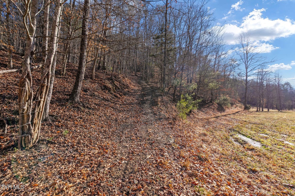 Photo #26: Tbd Cripple Creek Road