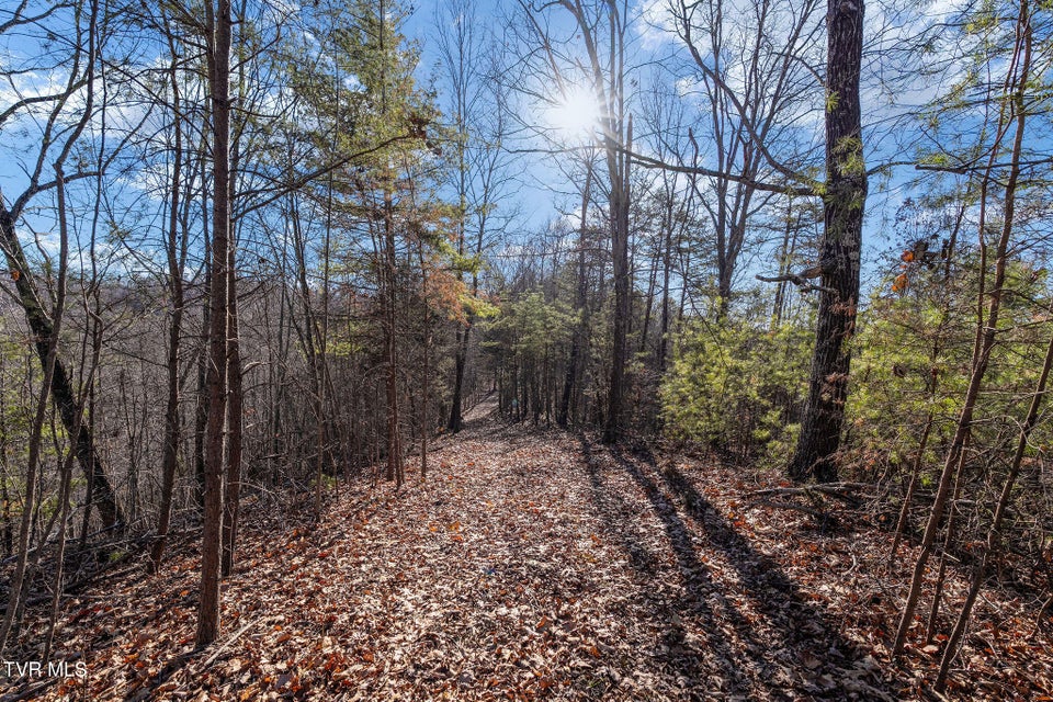 Photo #27: Tbd Cripple Creek Road