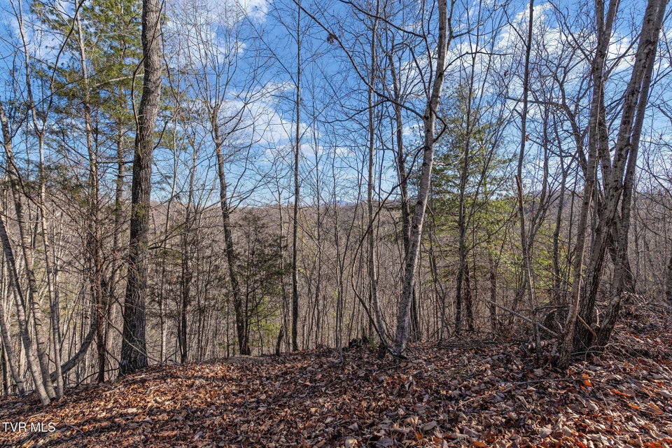 Photo #28: Tbd Cripple Creek Road