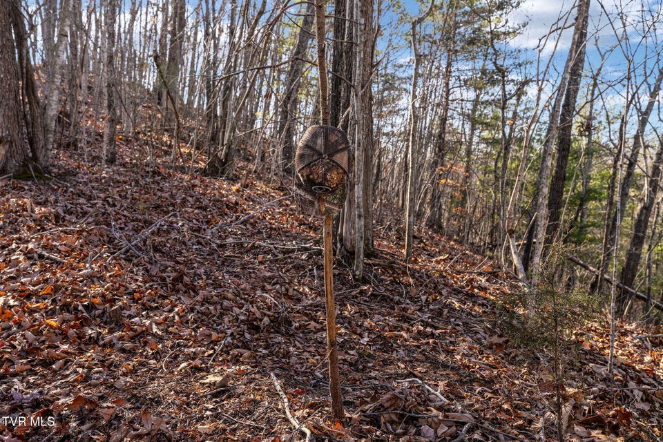 Photo #29: Tbd Cripple Creek Road