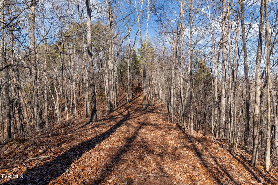 Photo #30: Tbd Cripple Creek Road