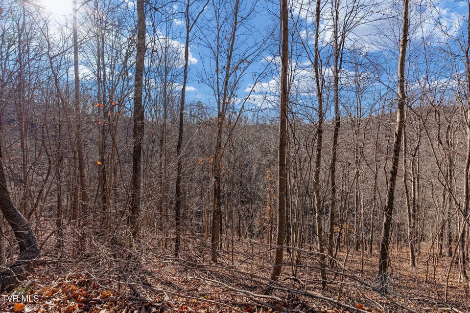Photo #31: Tbd Cripple Creek Road