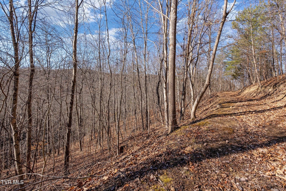 Photo #32: Tbd Cripple Creek Road