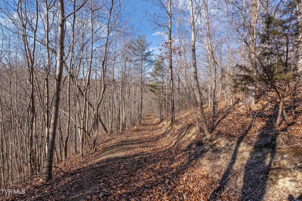 Photo #34: Tbd Cripple Creek Road