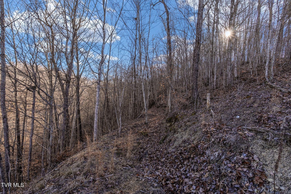 Photo #36: Tbd Cripple Creek Road