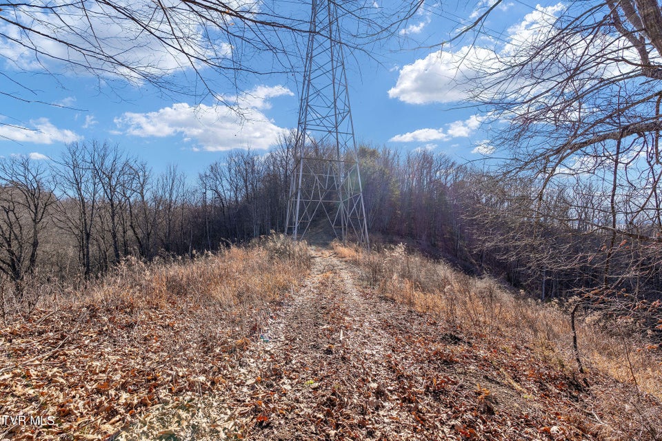 Photo #37: Tbd Cripple Creek Road