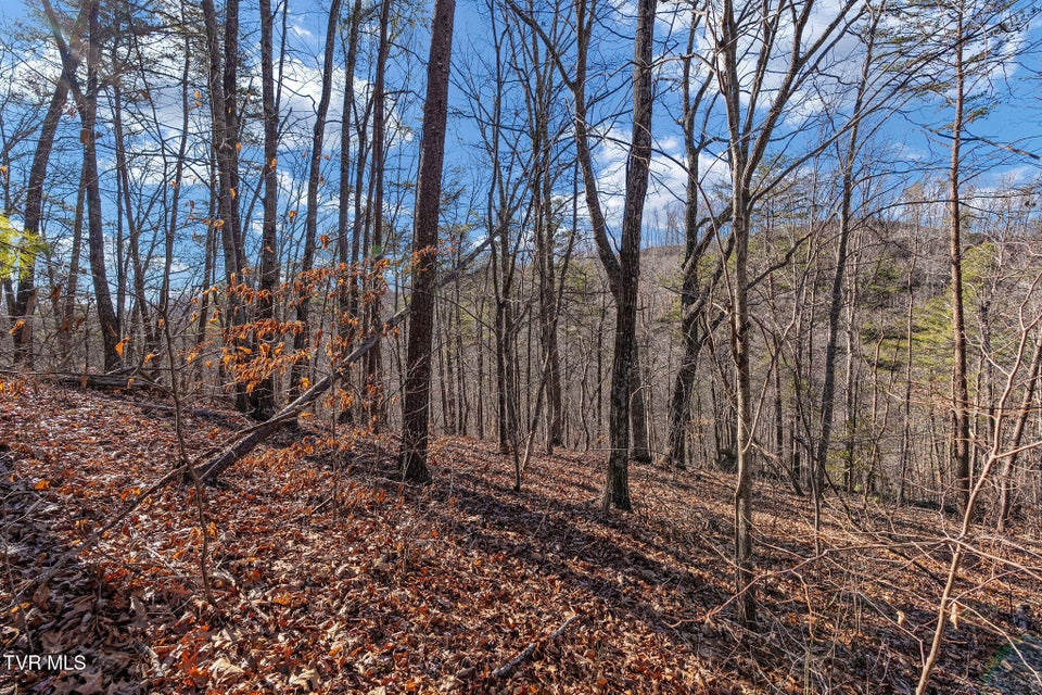 Photo #38: Tbd Cripple Creek Road