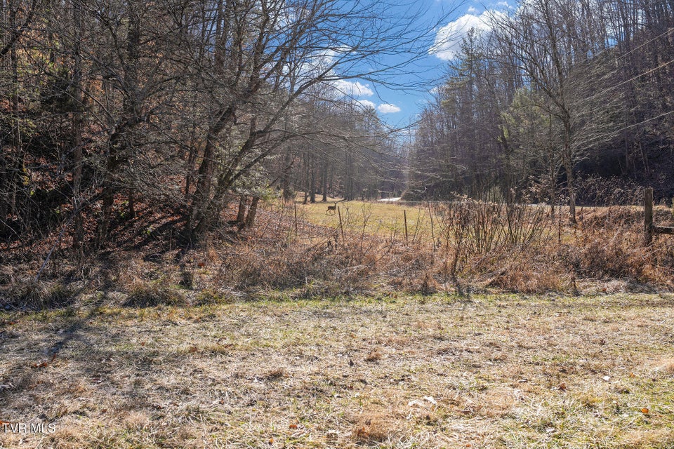 Photo #39: Tbd Cripple Creek Road