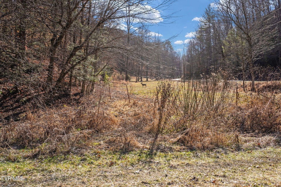 Photo #40: Tbd Cripple Creek Road