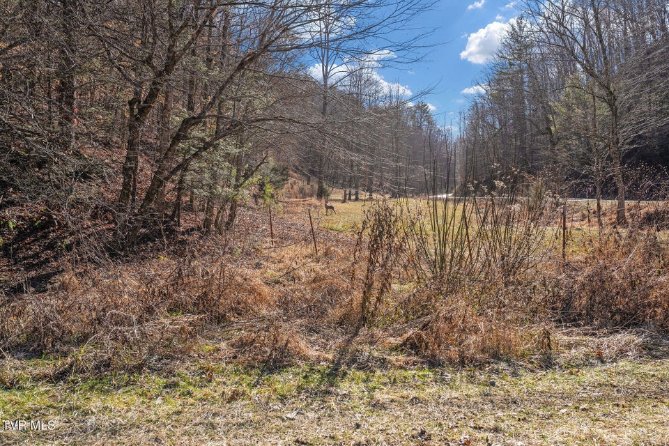 Photo #41: Tbd Cripple Creek Road