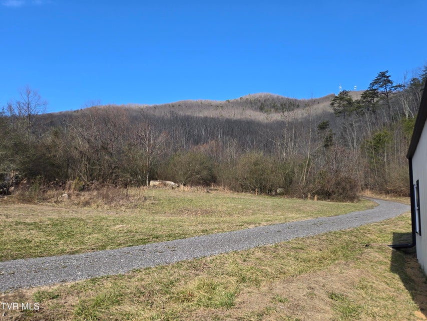 Photo #5: 164 Leaning Tree Drive