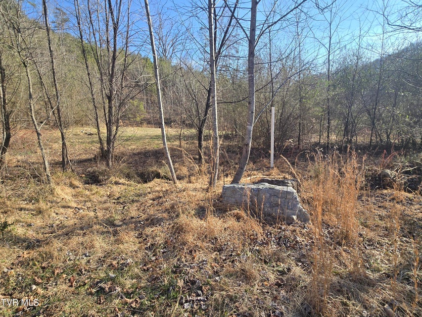 Photo #41: 164 Leaning Tree Drive