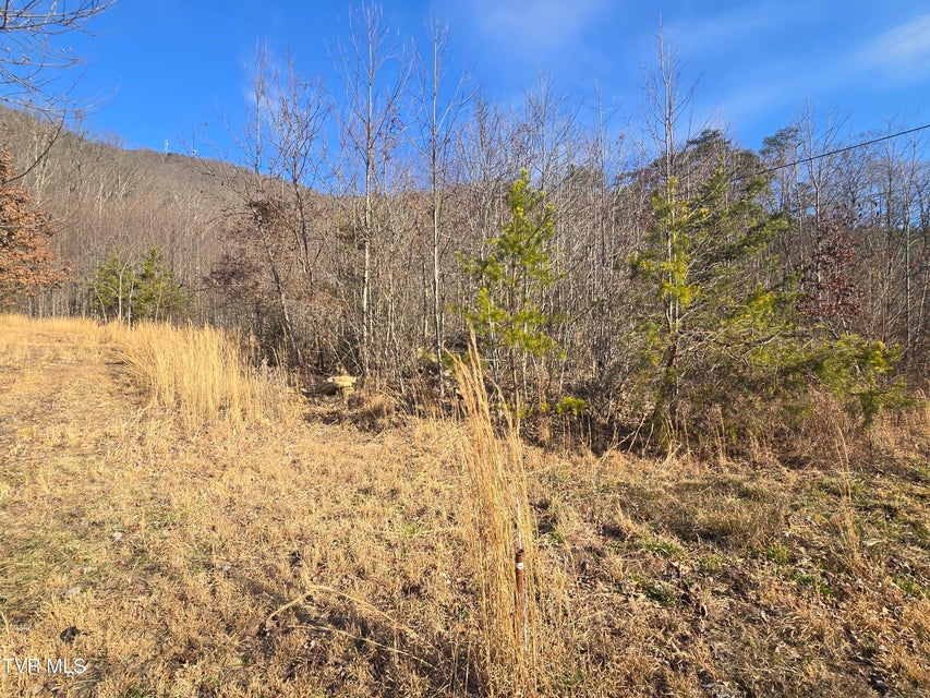 Photo #56: 164 Leaning Tree Drive