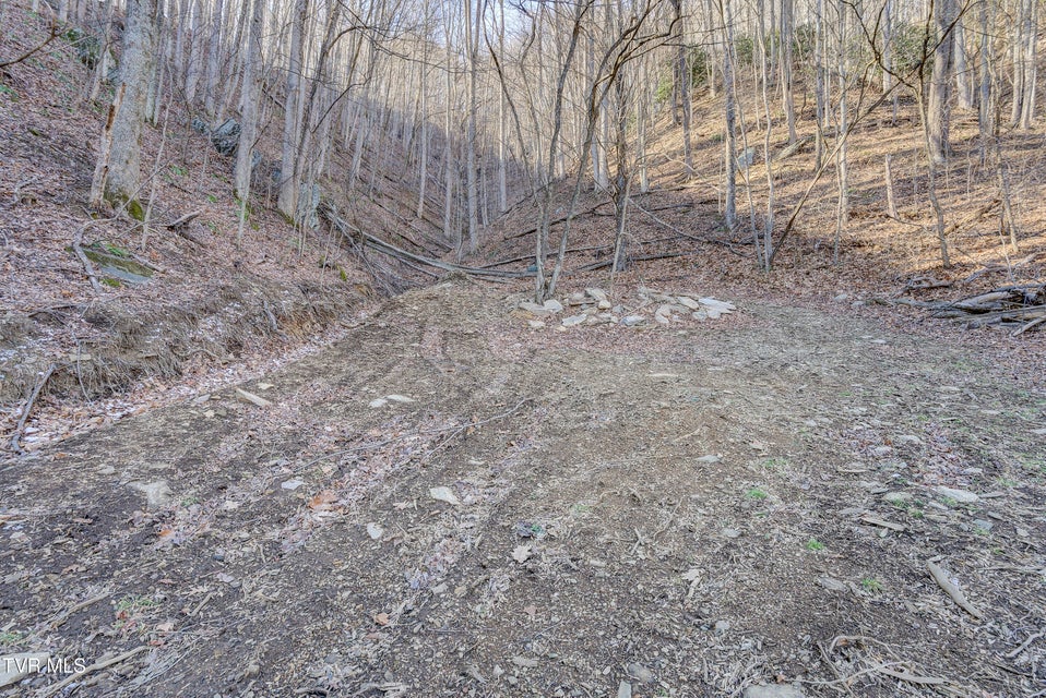 Photo #48: 406 Mathis Road