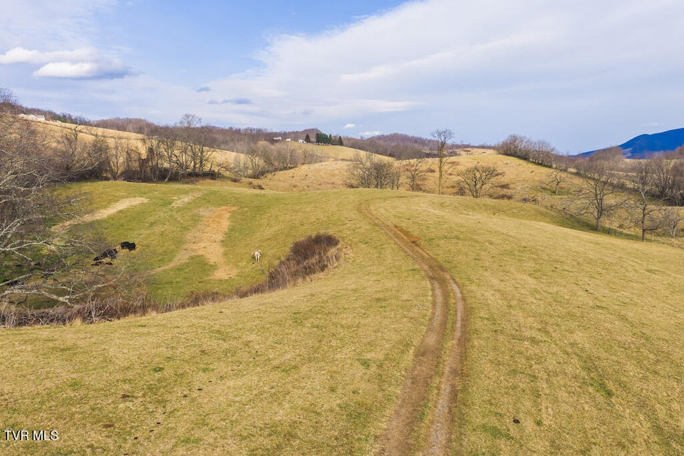 Photo #26: 230 Barnes Lane