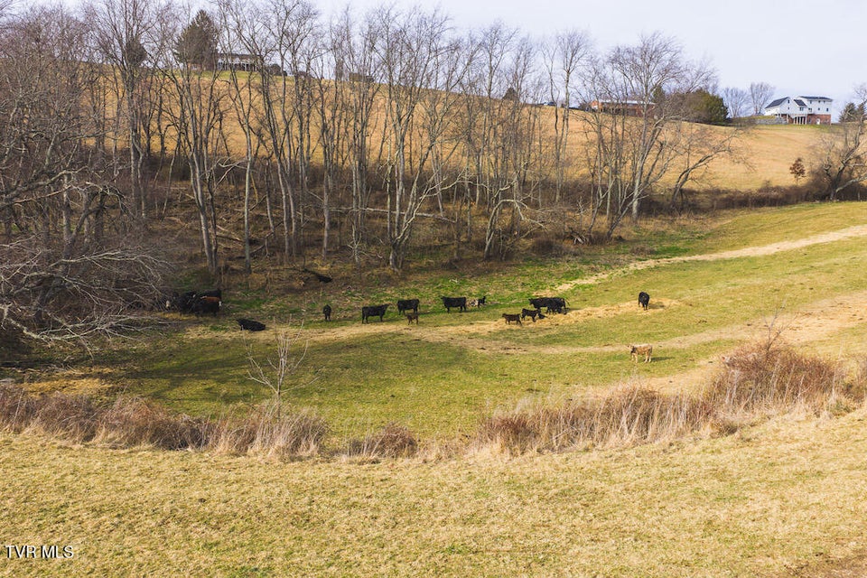 Photo #27: 230 Barnes Lane