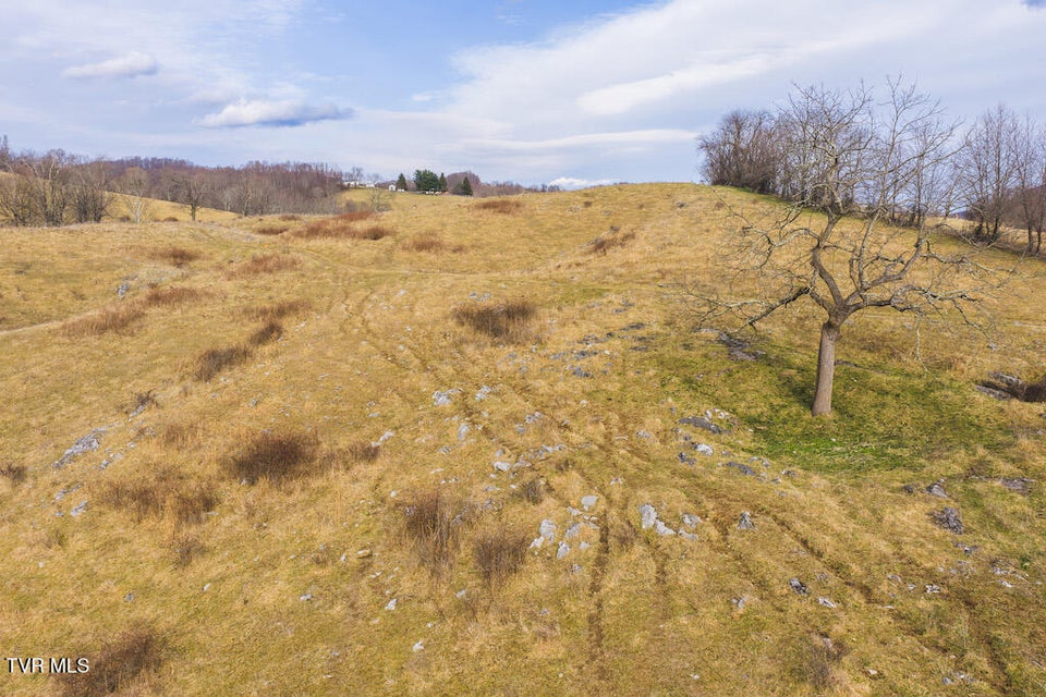 Photo #29: 230 Barnes Lane