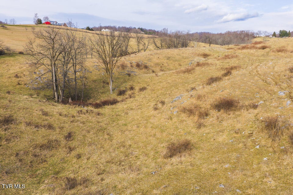 Photo #30: 230 Barnes Lane