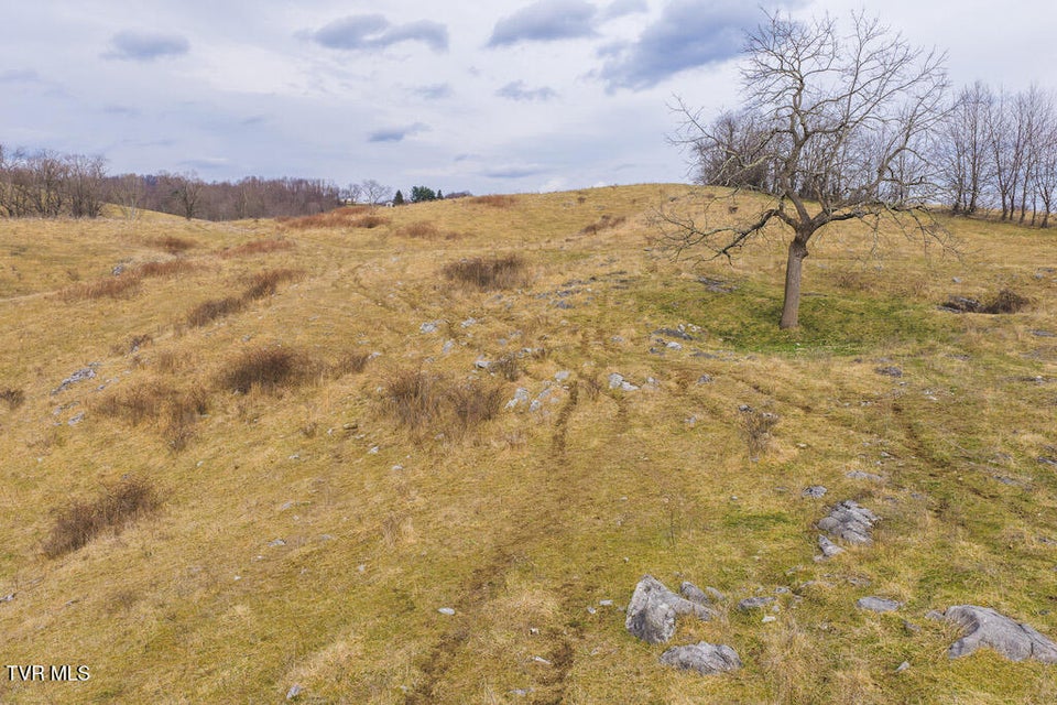 Photo #40: 230 Barnes Lane