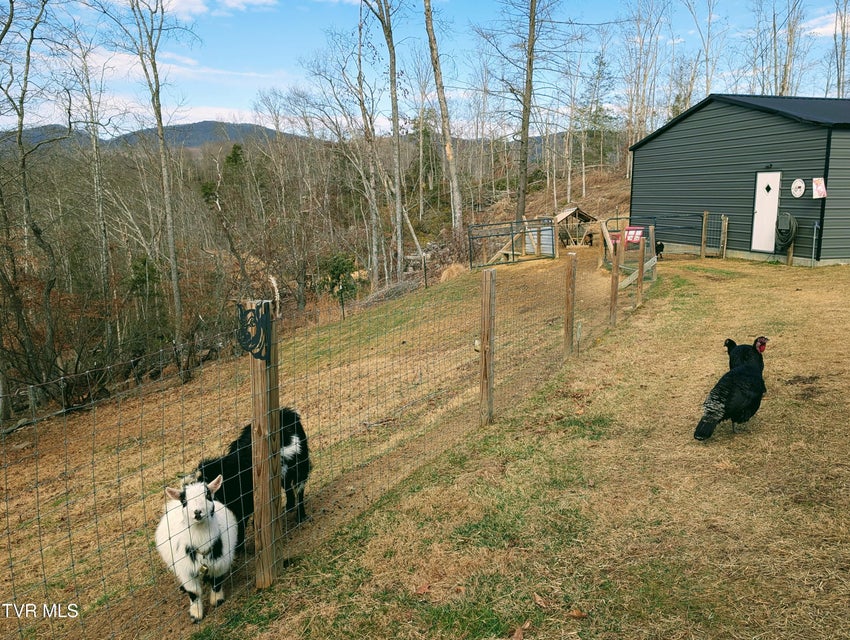 Photo #71: 348 Lakewood Drive