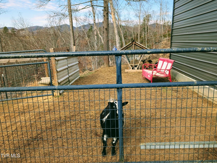 Photo #72: 348 Lakewood Drive