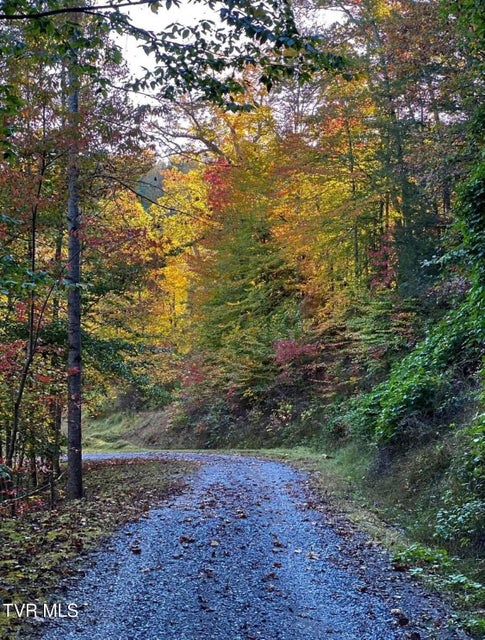 Photo #79: 348 Lakewood Drive