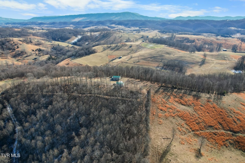 Photo #3: 1965 Carterton Road