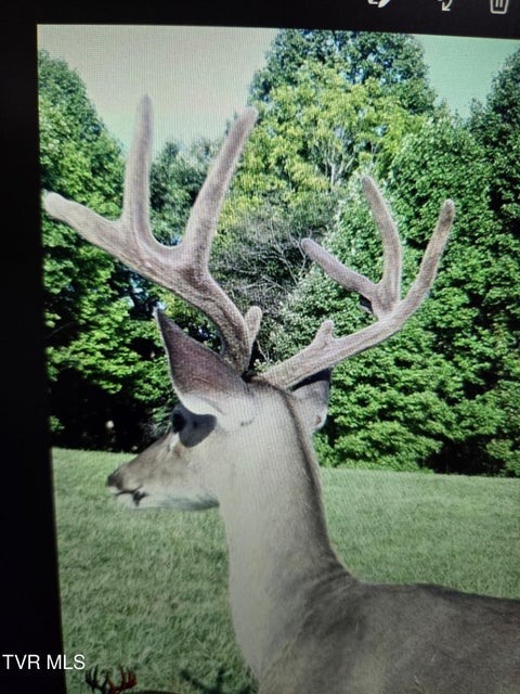 Photo #8: 1965 Carterton Road