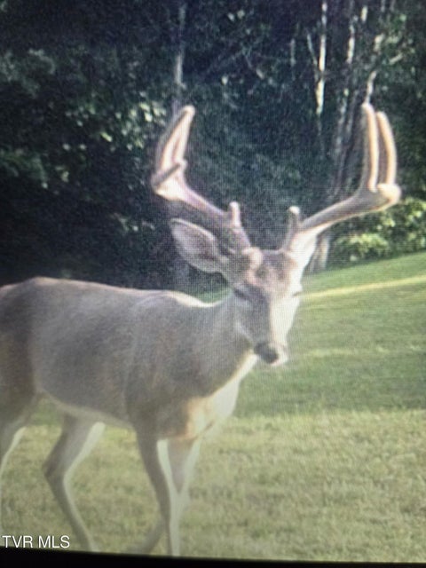 Photo #7: 1965 Carterton Road