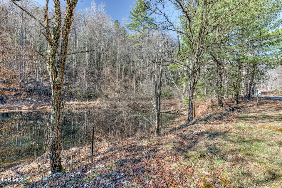 Photo #4: 469 Moreland Drive