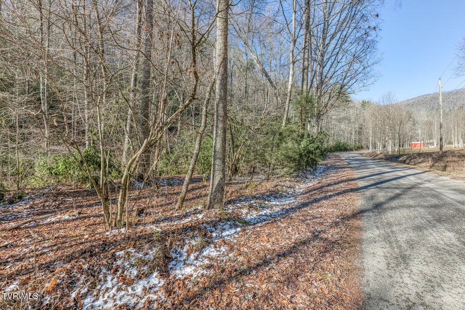 Photo #6: 469 Moreland Drive