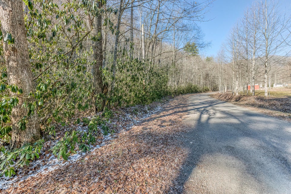 Photo #7: 469 Moreland Drive