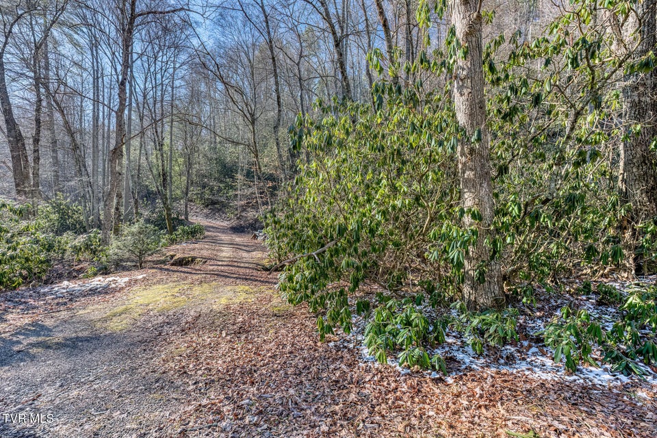 Photo #8: 469 Moreland Drive