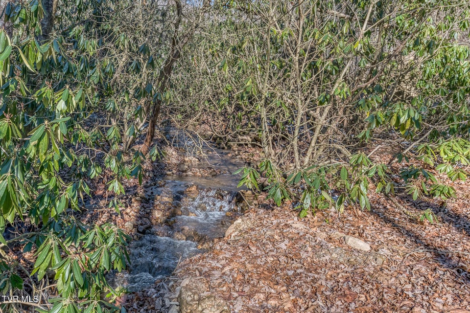 Photo #9: 469 Moreland Drive