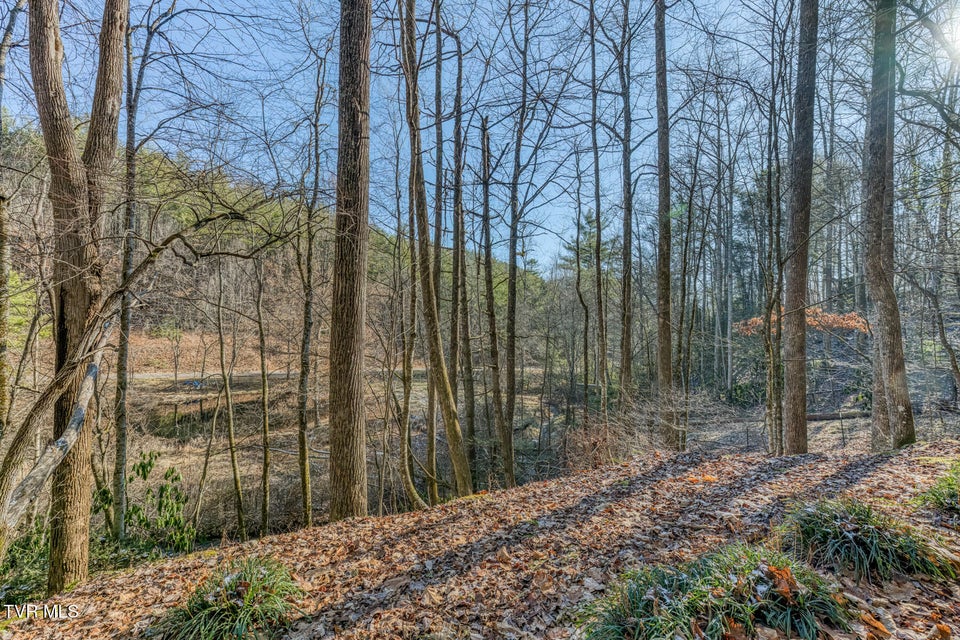 Photo #11: 469 Moreland Drive