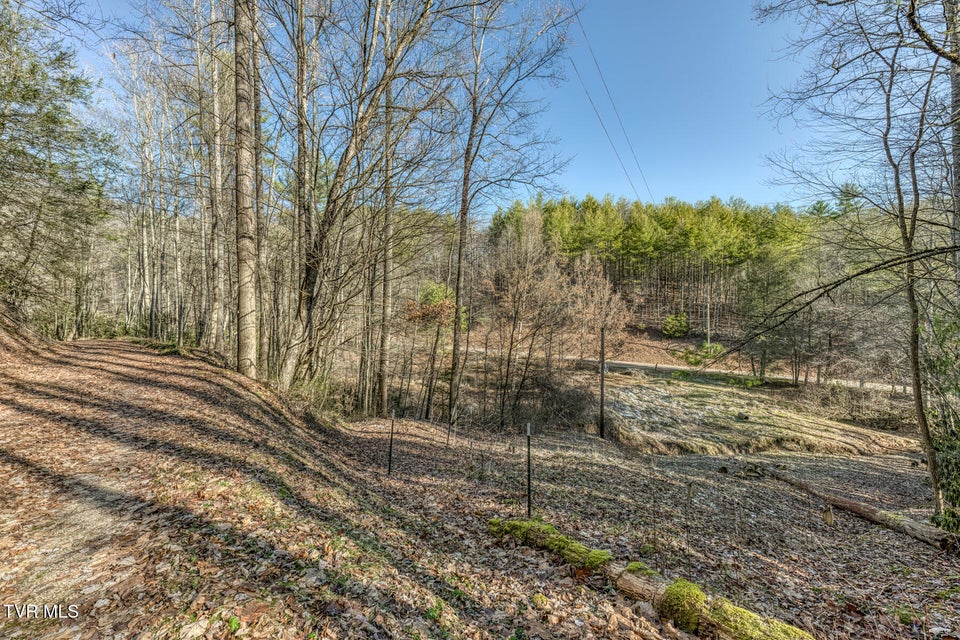 Photo #12: 469 Moreland Drive