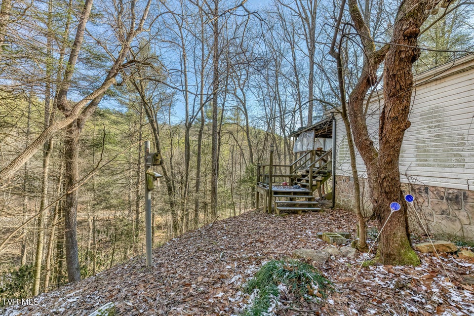 Photo #14: 469 Moreland Drive