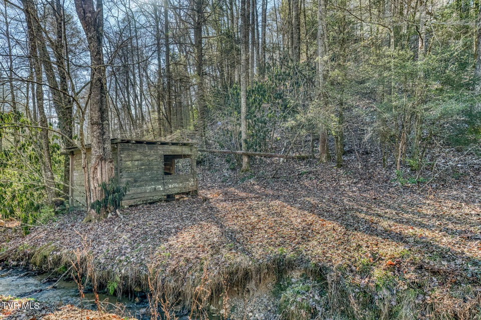 Photo #16: 469 Moreland Drive