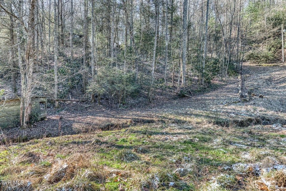 Photo #19: 469 Moreland Drive