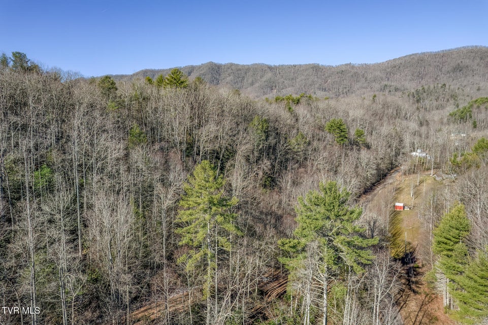 Photo #20: 469 Moreland Drive