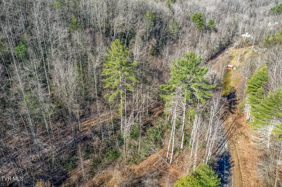 Photo #21: 469 Moreland Drive