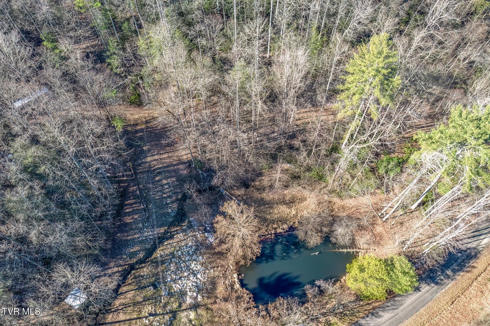 Photo #22: 469 Moreland Drive