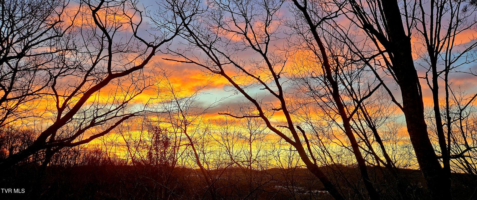 Photo #29: 323 Hickory Bluff