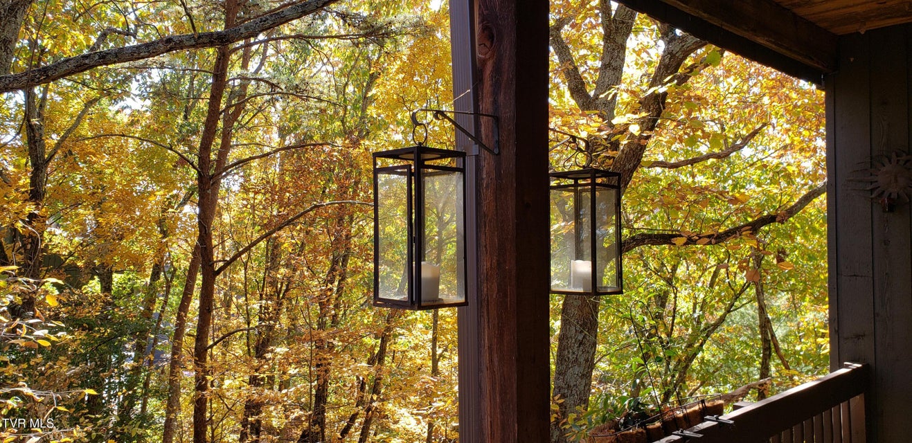 Photo #3: 323 Hickory Bluff