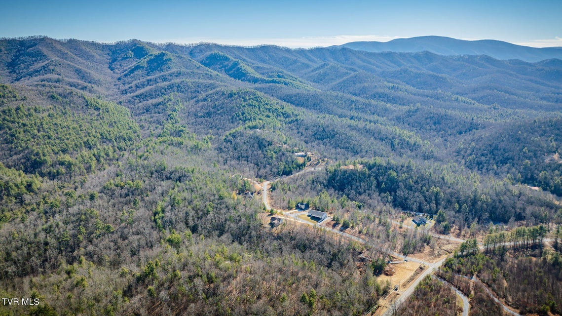 Photo #8: Tbd Sciota Road