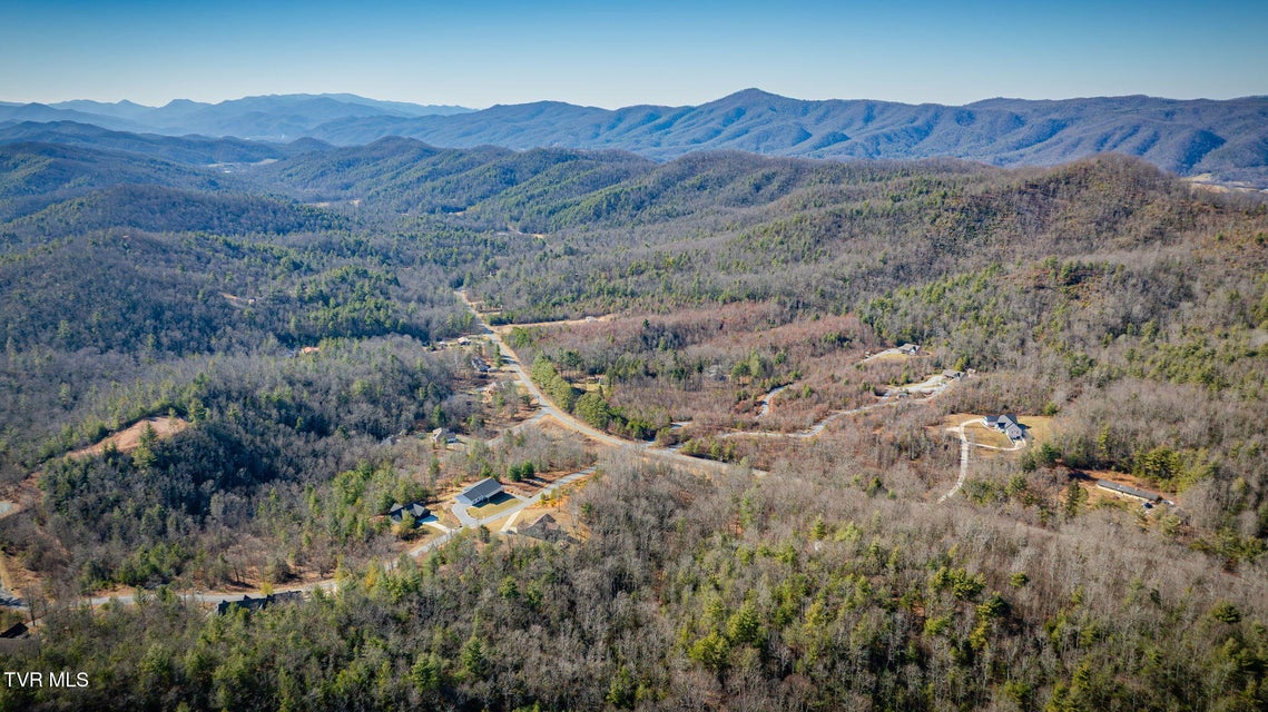 Photo #10: Tbd Sciota Road